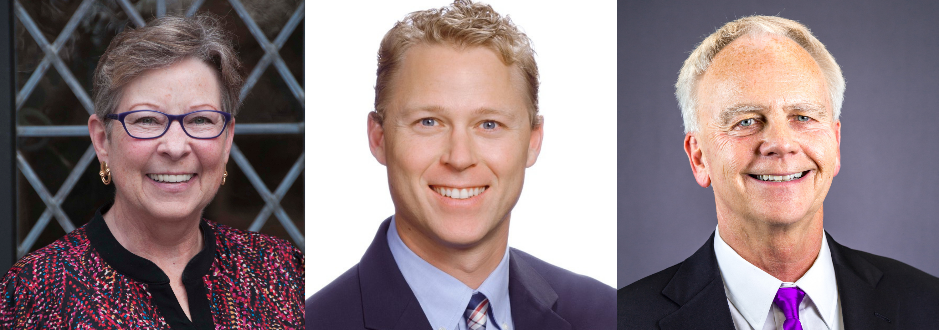 Cheadle, Cushing, and Daniel Granted Honorary Membership from Virginia Architects